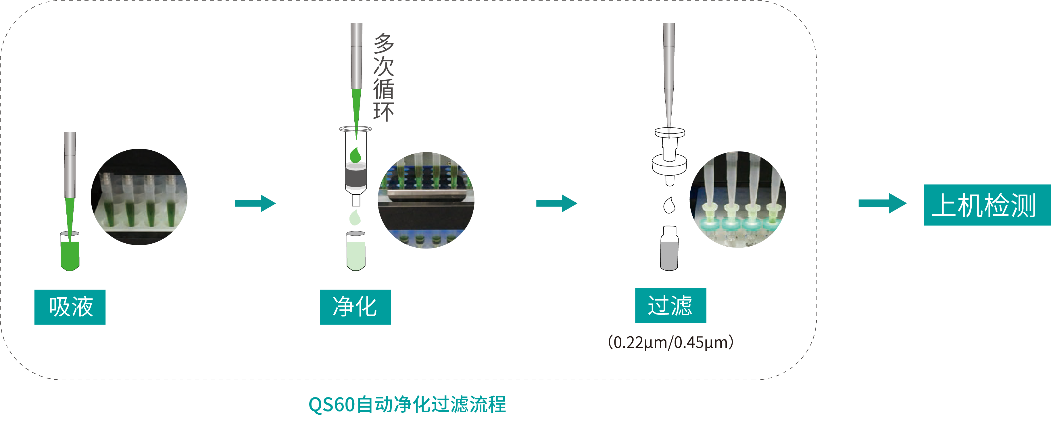自动净化过滤流程.png