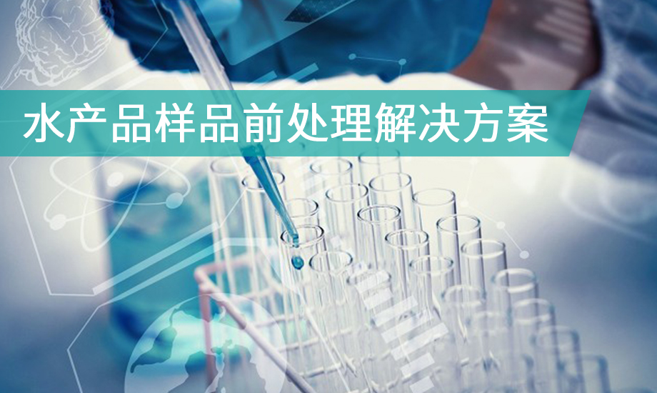 壹号娱乐