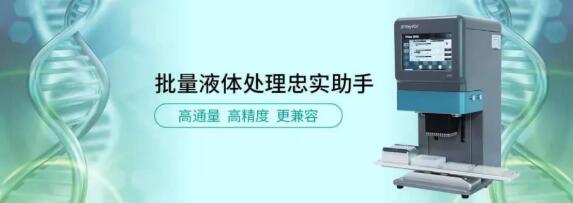 壹号娱乐