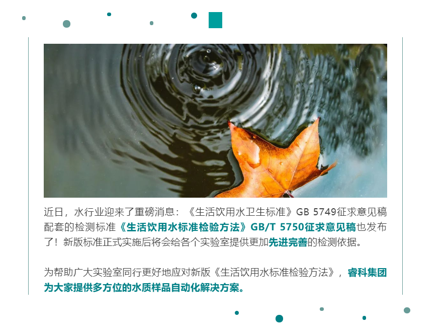壹号娱乐