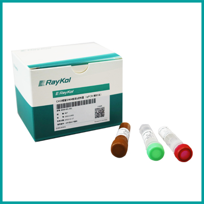 CHO残留DNA检测试剂盒（qPCR-探针法）