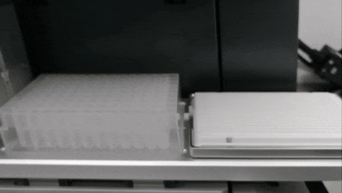 Vitae 60 动图.gif 壹号娱乐