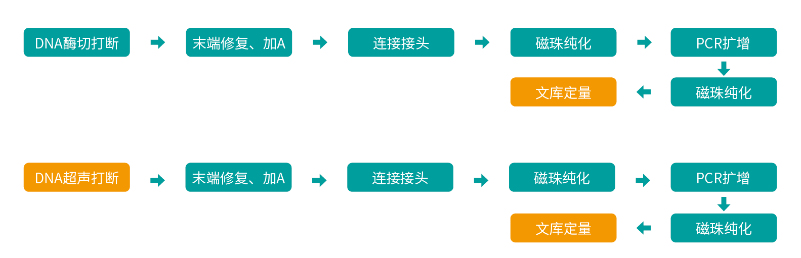 f361a79c08c868884721b76fec554e9.png