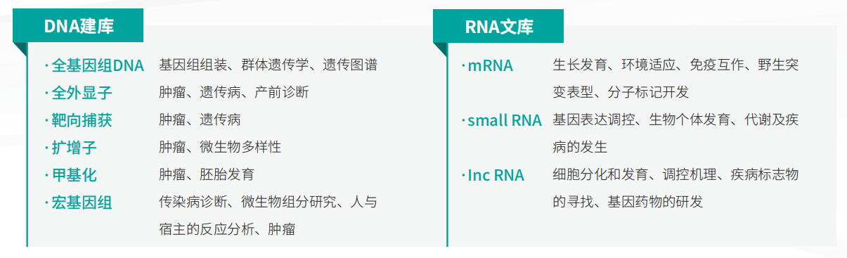 壹号娱乐