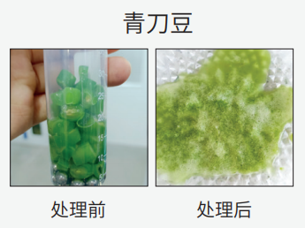 壹号娱乐