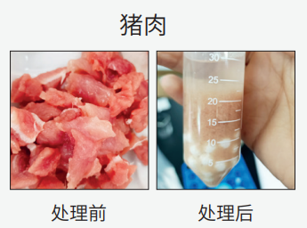 壹号娱乐