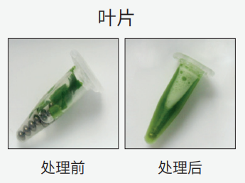壹号娱乐