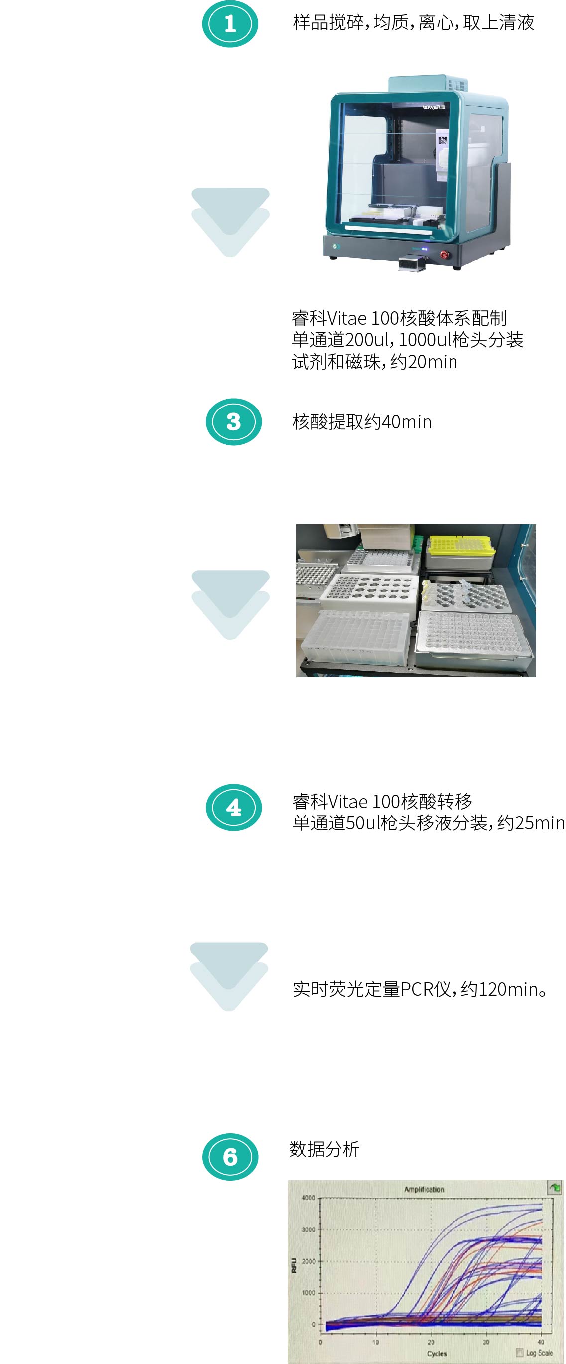 时间轴12.jpg