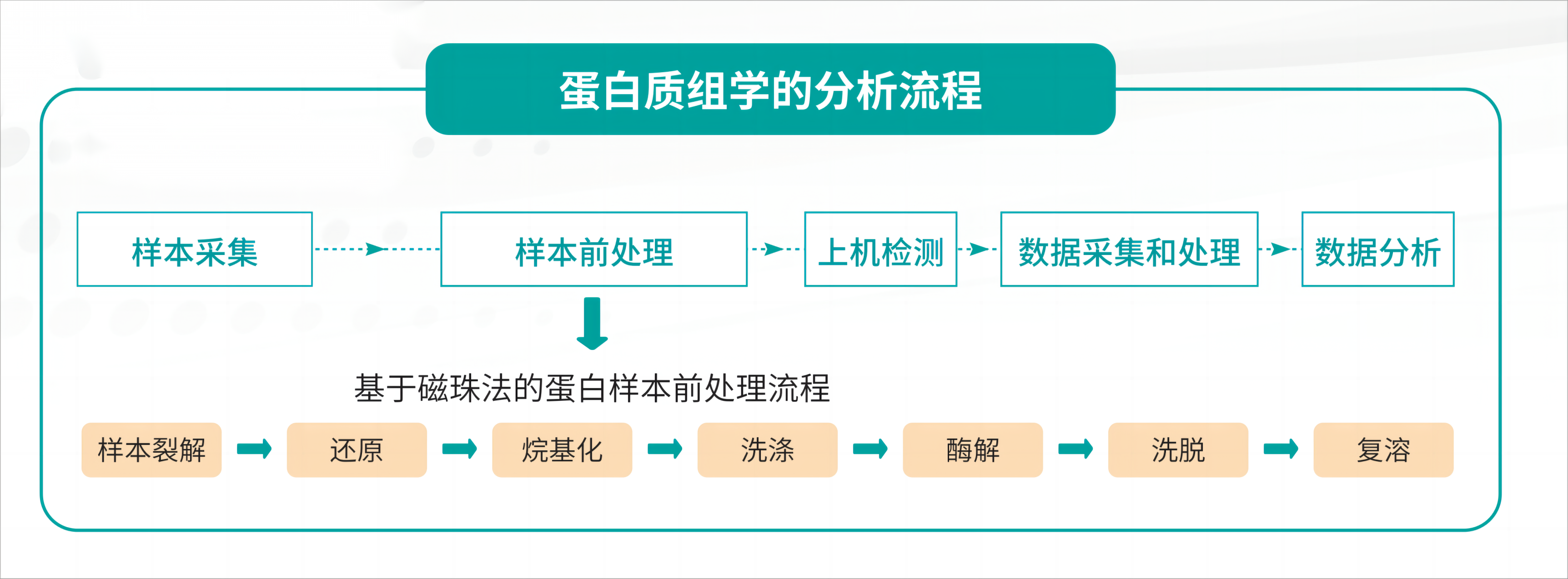 壹号娱乐_蛋白质样本前处理解决方案_01(1)(1).png