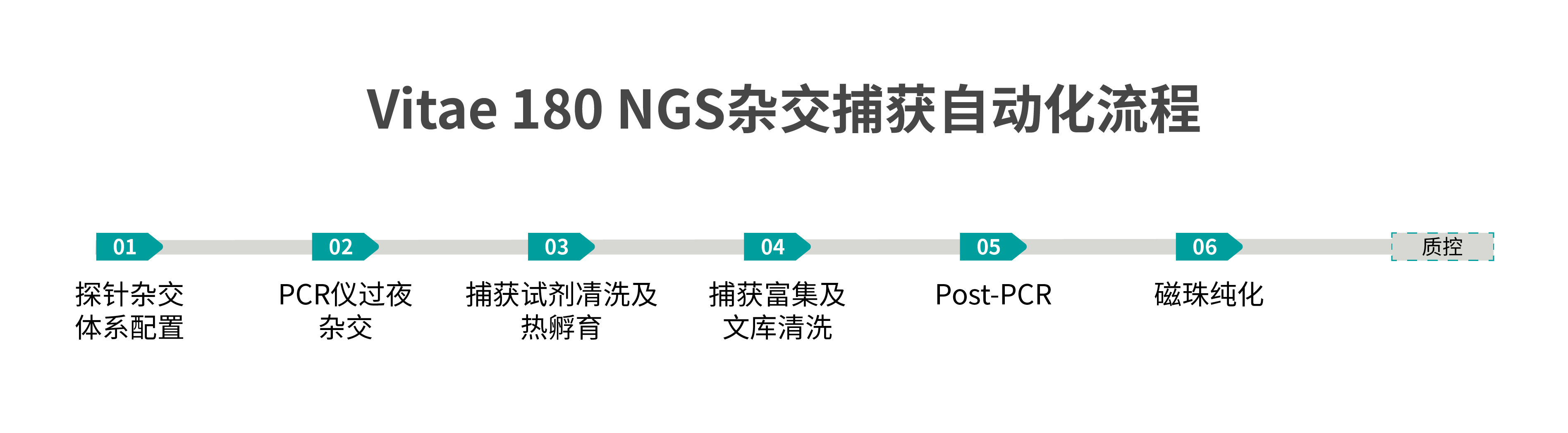 仪器杂交捕获流程.jpg