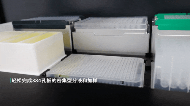 壹号娱乐