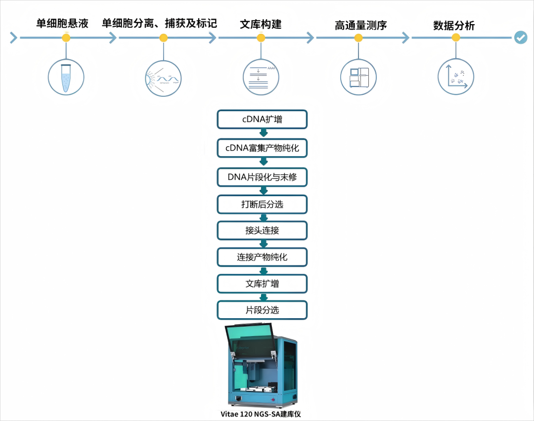 壹号娱乐