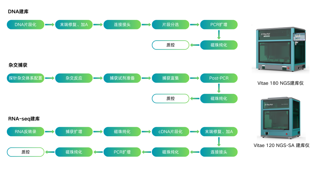 壹号娱乐