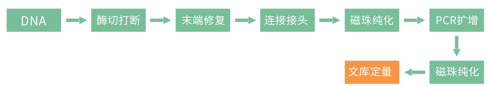 壹号娱乐