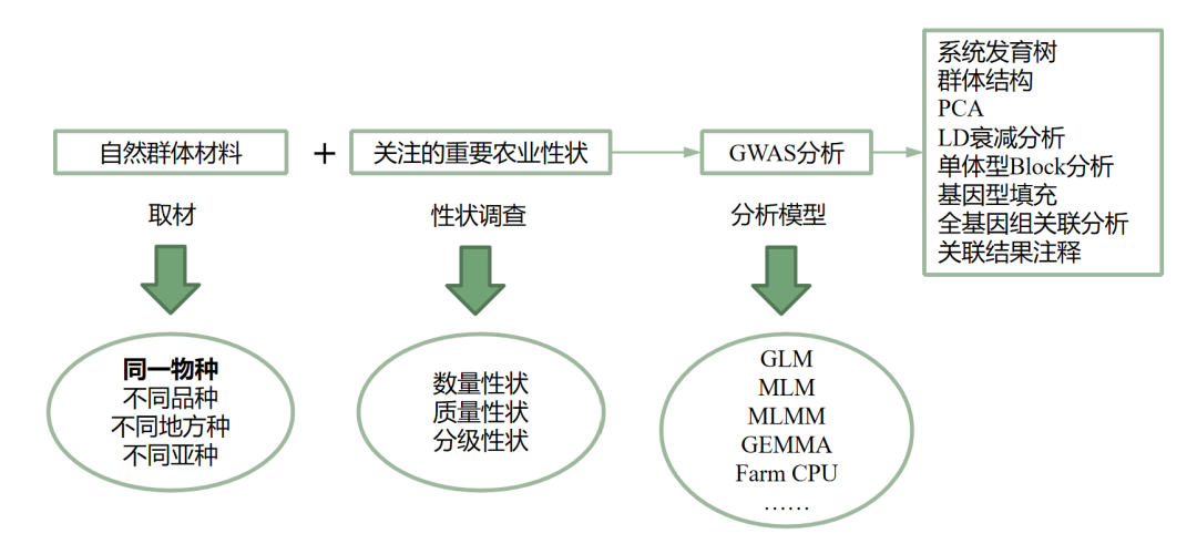 壹号娱乐