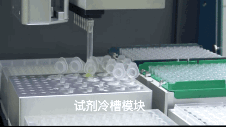壹号娱乐