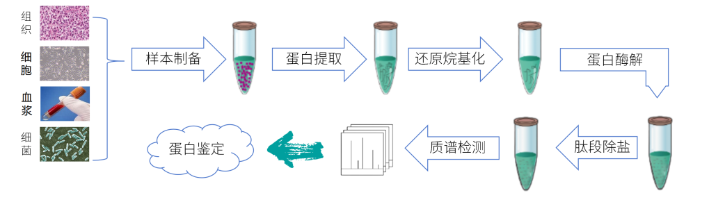 壹号娱乐