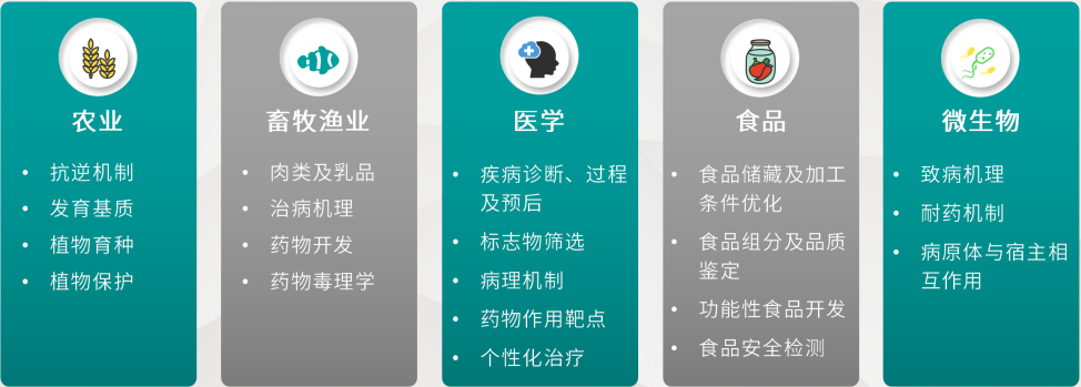 壹号娱乐