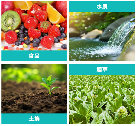 壹号娱乐